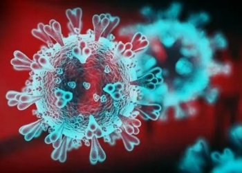 group scientists germany usa sars cov 2 virus high potential for laboratory test products 123741