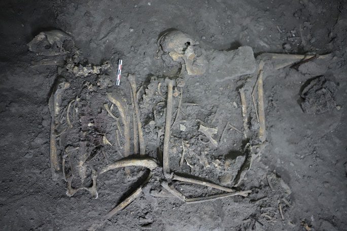 Complete skeleton of the female spider monkey in the 1,700-year-old Maya tomb
