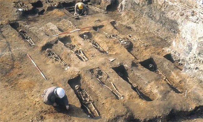 Scientists sampled remains from graves at three cemeteries in London.