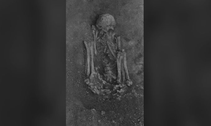Photo of one of the excavated skeletons in the Sado Valley