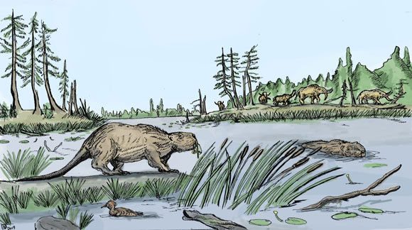 Their diet was purely herbivorous.