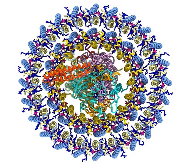 Diagram of two molecular rings