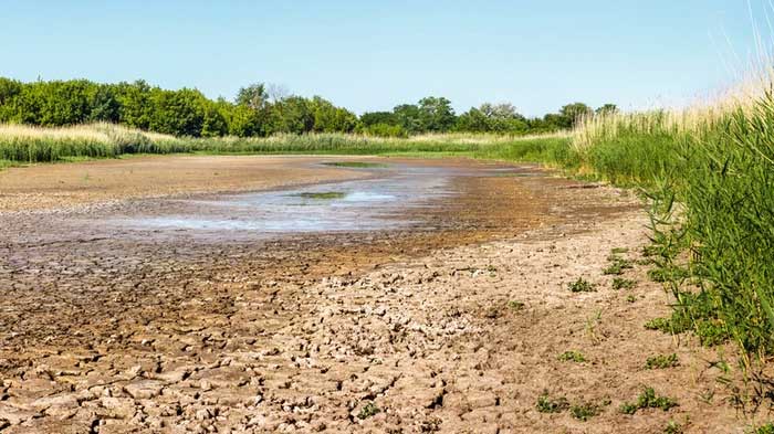 Rivers and reservoirs are beginning to dry up across Europe, East Asia, and North America.