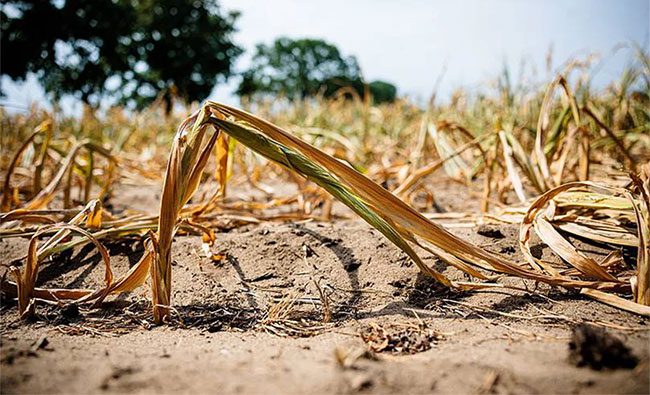 Droughts, floods, wildfires, and heatwaves are becoming more severe