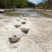 han han has helped scientists discover dinosaur traces from 113 million years ago 122566