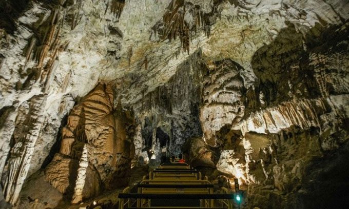 Postojna Cave is the habitat of the rare baby dragon.