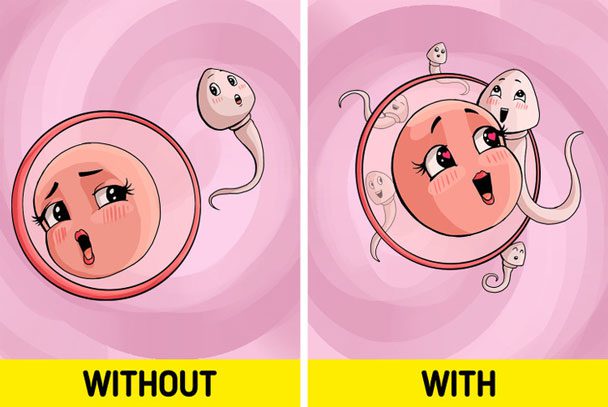 Boosting Male Fertility