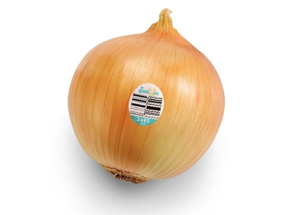 The new onion variety that doesn't cause eye irritation will be available for sale in the UK soon