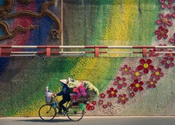 hanoi photo wins international award of vietnamese photographer capturing a beautiful tender moment 118742