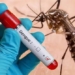 hanoi records new dengue virus case 123045