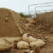 happy people when being turned into meat 26306