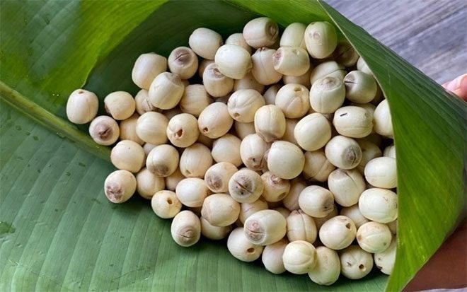 Lotus seeds in traditional medicine are called lien nhuc, and they also have other names such as lien tu, lien thuc...