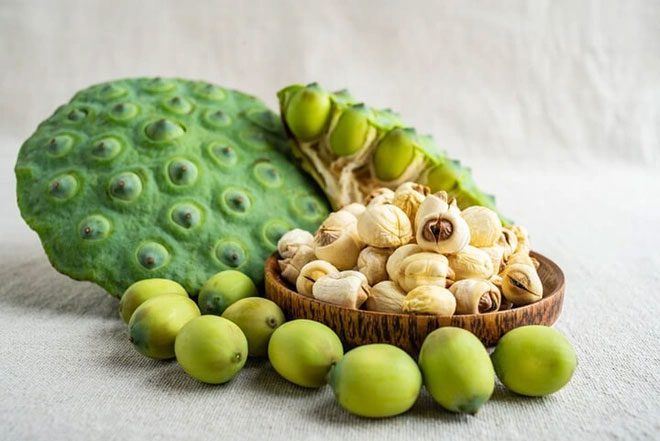 In traditional medicine, the herb lien nhuc has a sweet taste, neutral properties, and is associated with the heart, kidneys, and spleen meridians.