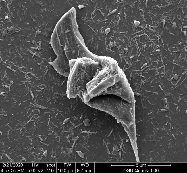 Microscopic image showing large tire-derived microplastics surrounded by nano-sized particles.