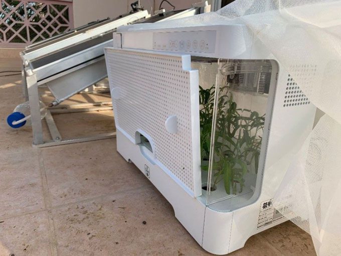 The experimental system consists of two solar panels and a planting box.