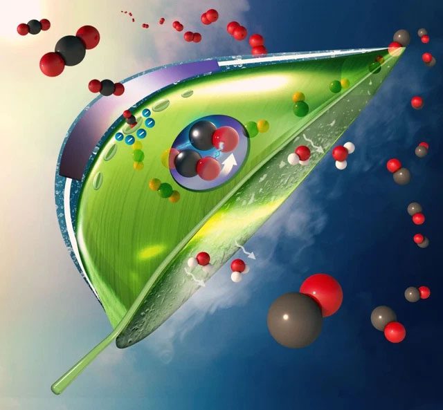 capturing CO2 from diluted sources such as the atmosphere and emissions