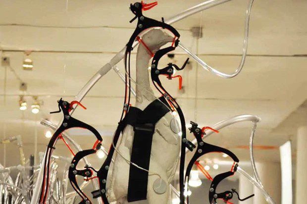 According to this model, chickens will have their cerebral cortex removed so they cannot feel fear