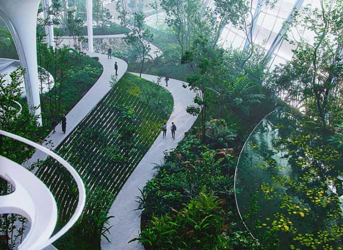 Diverse plant life at Skypark.