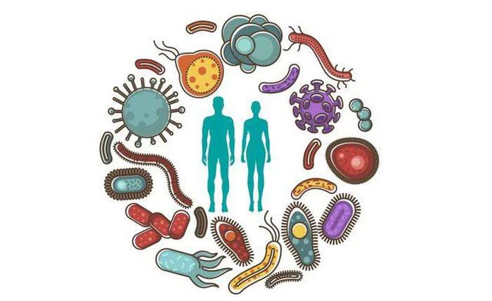 Gut Microbiome Established After Birth