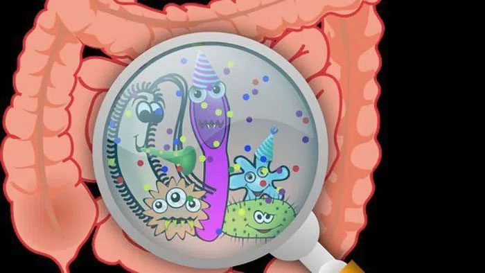 Gut Microbiome