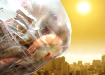 heat in china makes shrimp die on the way home 122433