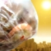 heat in china makes shrimp die on the way home 122433