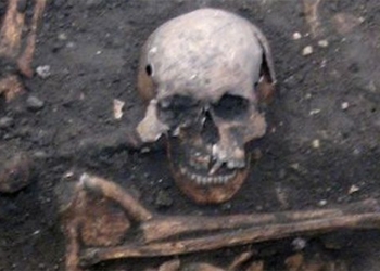 herpes virus has existed for 5000 years 122091