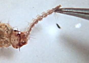 high speed camera reveals the way to salt water sand new 123705