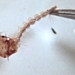 high speed camera reveals the way to salt water sand new 123705
