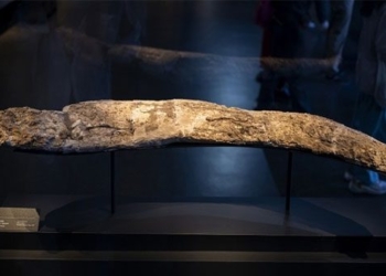 high technology helps reconstruct physical objects 121275