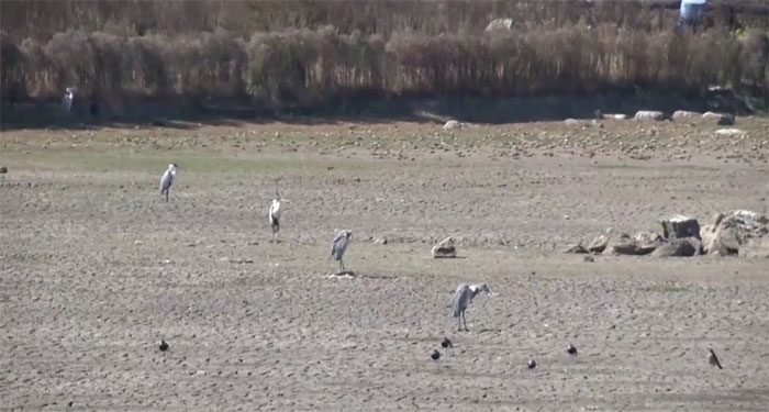 Peñuelas Reservoir in Chile is at risk of disappearing due to climate change.
