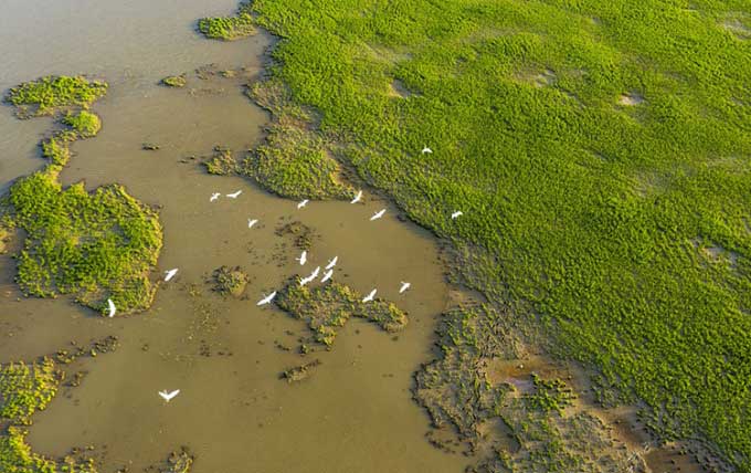Poyang Lake is an important bird sanctuary worldwide.