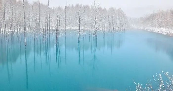 ho xanh o Hokkaido 1