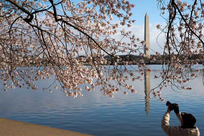 The Washington Monument viewed from the Tidal Basin in Washington on March 28.