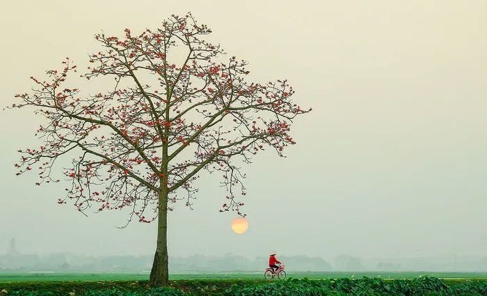 Images that make countless hearts flutter with their peaceful and serene beauty.