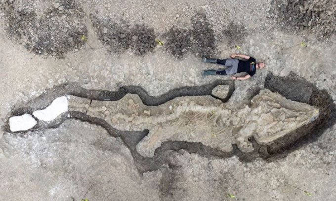 The Rutland fossil is a rare complete skeleton of a marine reptile.