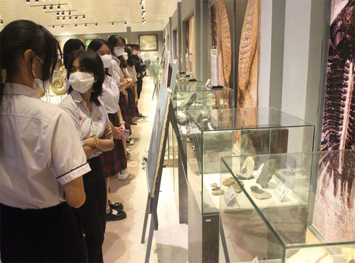 Exhibition 'Fossils - The Journey to Explore the Origins of Life on Earth'.