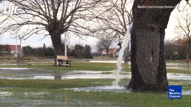 Water flows from the tree trunk