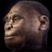 hominid species lived about 18 000 years ago may still exist 120092