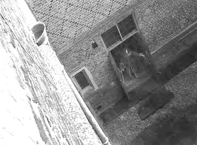 There has never been any evidence of images that can form a clear ghostly figure.