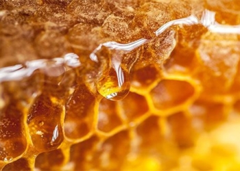 honey has potential to produce computer chips like this 119862