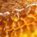 honey has potential to produce computer chips like this 119862