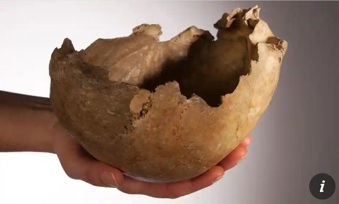 Skull of an ancient woman from Gough's Cave, living about 14,900 years ago.