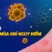 how are seasonal allergy and flu different 121028