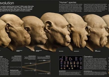 how climate has shaped human evolution 120075