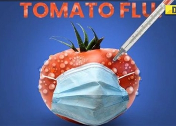 how dangerous is the new flu in india 122573