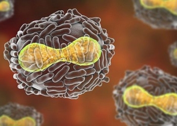 how hiv is removed from the body 120462