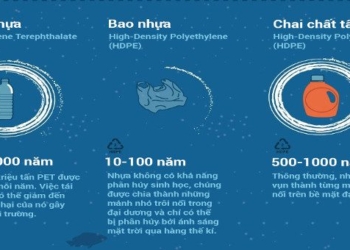 how long does it take for plastic waste to decompose 93551