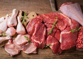 how much meat should you eat in a day 120645
