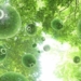 how oxygen on earth originated 66414